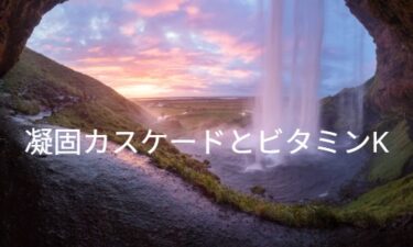 凝固カスケードとビタミンK依存性凝固因子/凝固阻止因子